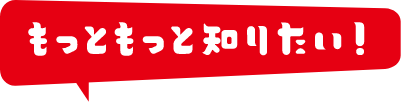 もっともっと知りたい！